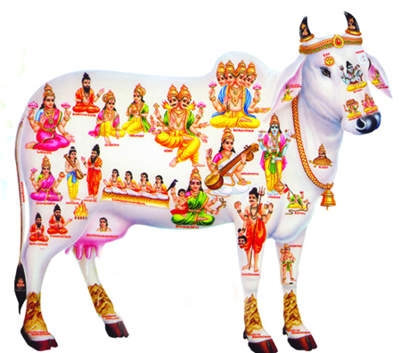 kamadhenu